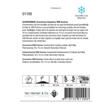 Schorseneer, Scorzonera hispanica 'VRN-Enorma' -zaden-