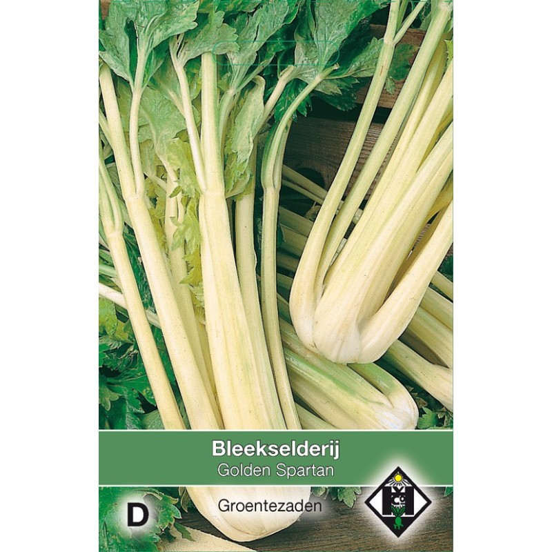 Bleekselderij, Apium graveolens dulce 'Golden Spartan' -zaden-