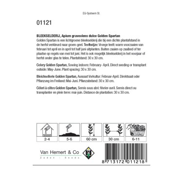 Bleekselderij, Apium graveolens dulce 'Golden Spartan' -zaden-