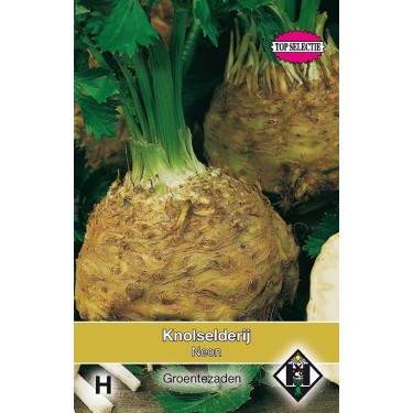 Knolselderij, Apium graveolens 'Neon' -zaden-