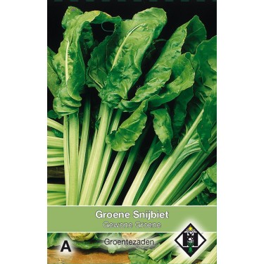 Groene Snijbiet, Beta vulgaris cicla 'Gewone Groene' -zaden-