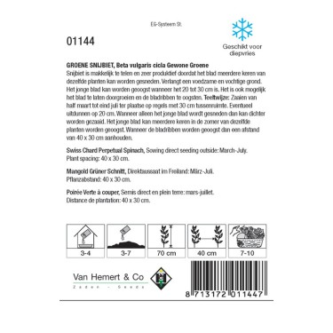 Groene Snijbiet, Beta vulgaris cicla 'Gewone Groene' -zaden-