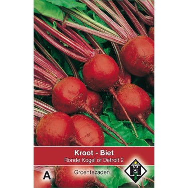 Biet - Kroot Kogel of Detroit 2 -zaden-