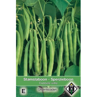 Stamslaboon Dubbele witte, 60 gr. -zaden-