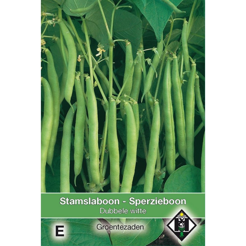 Stamslaboon Dubbele witte, 60 gr. -zaden-