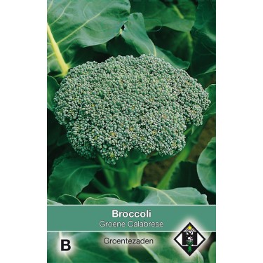 Broccoli Groene Calabrese -zaden-