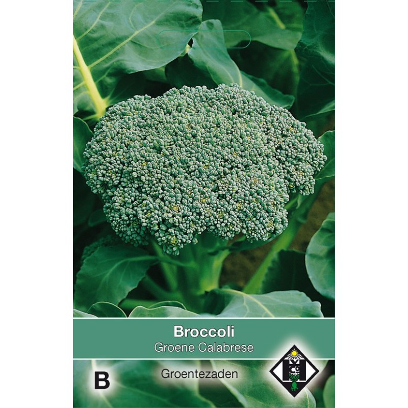Broccoli Groene Calabrese -zaden-