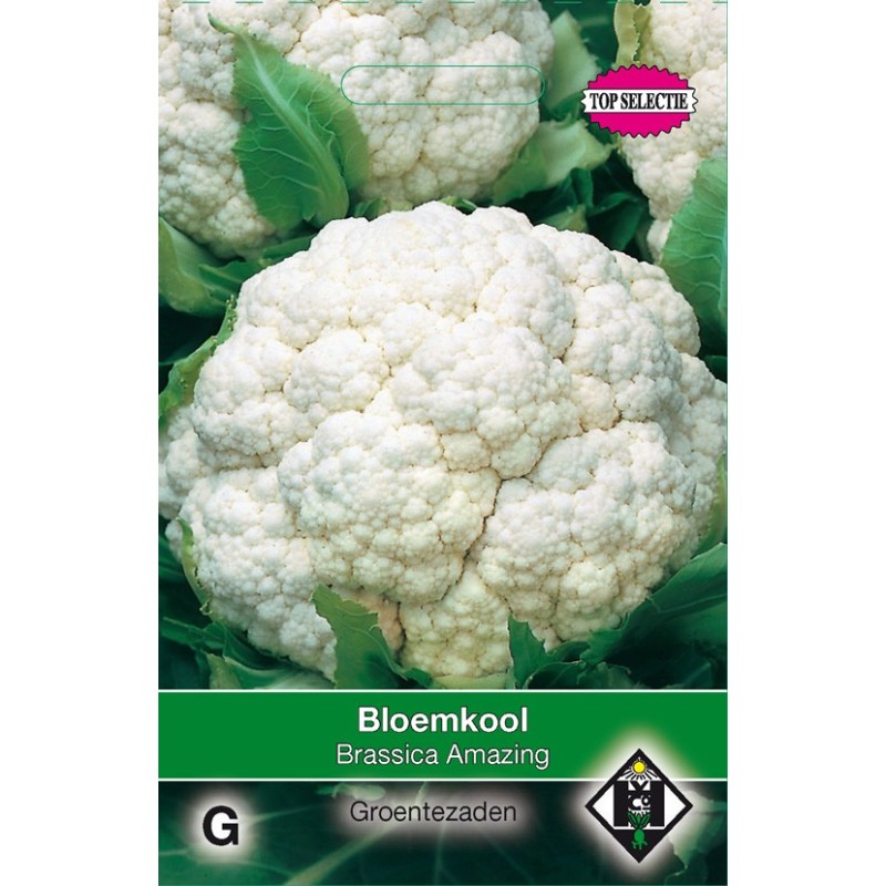 Bloemkool Amazing -zaden-