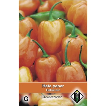 Peper, Capsicum annuum 'Habenero' -zaden-