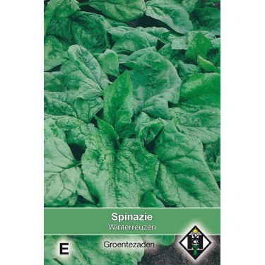 Spinazie Winterreuzen, 35 gr. -zaden-