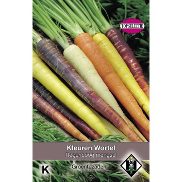 Kleuren Wortel, Daucus carota Regenboog Mengsel F1 -zaden-