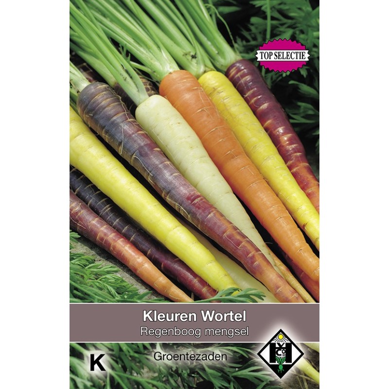 Kleuren Wortel, Daucus carota Regenboog Mengsel F1 -zaden-