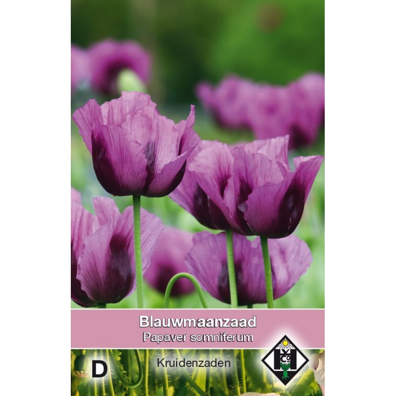 Blauwmaanzaad, Papaver somniferum -zaden-