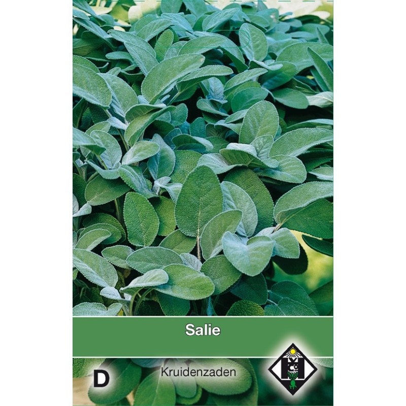 Salie / Salvia -zaden-