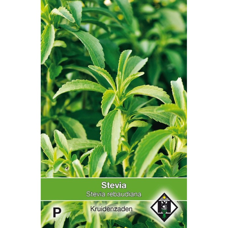 Stevia, Stevia rebaudiana -zaden-