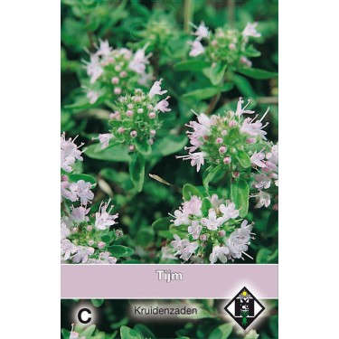 Tijm / Thymus -zaden-
