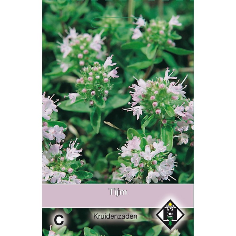 Tijm / Thymus -zaden-