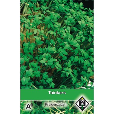 Tuinkers / Lepidium  -zaden-