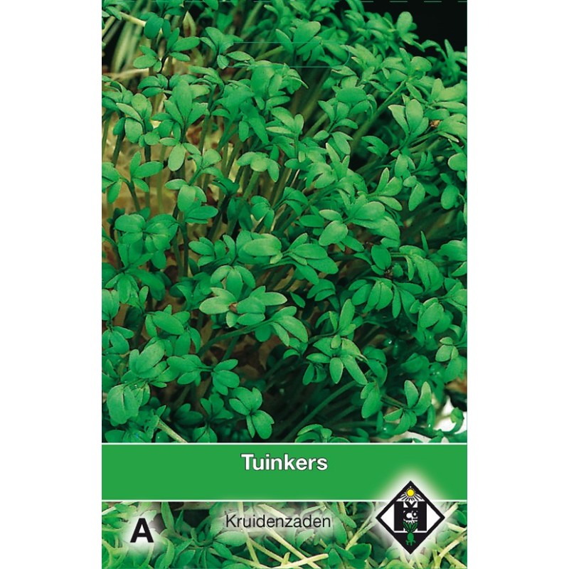 Tuinkers / Lepidium  -zaden-
