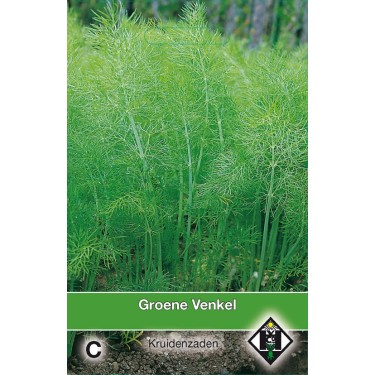 Groene Venkel / Foeniculum -zaden-