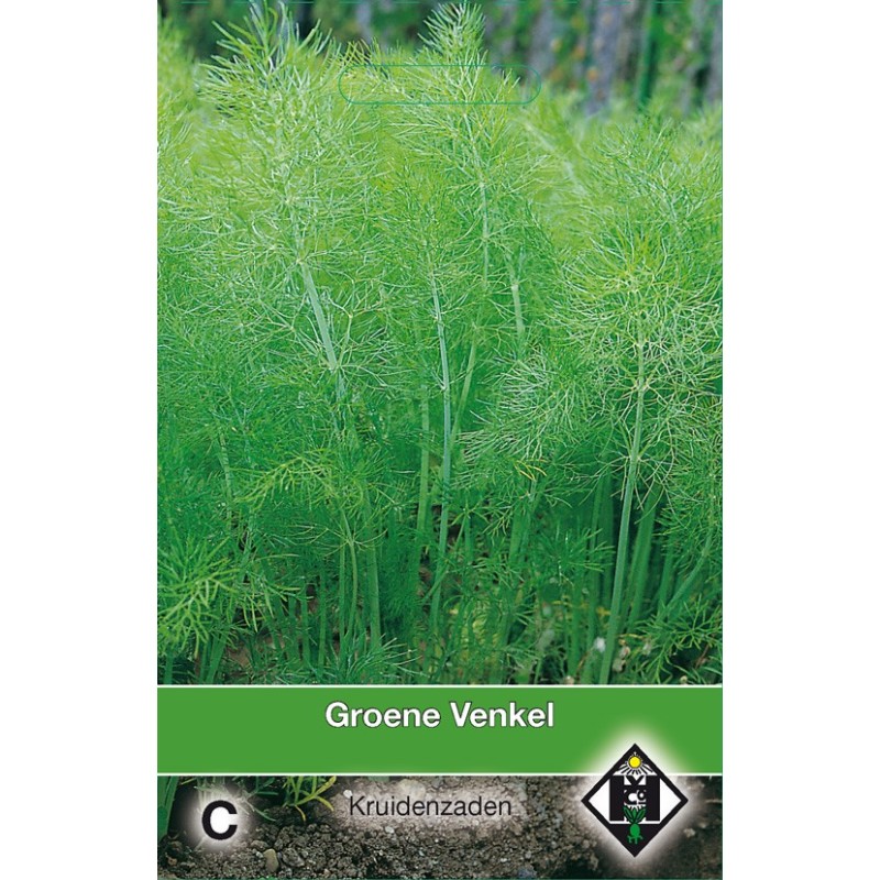 Groene Venkel / Foeniculum -zaden-