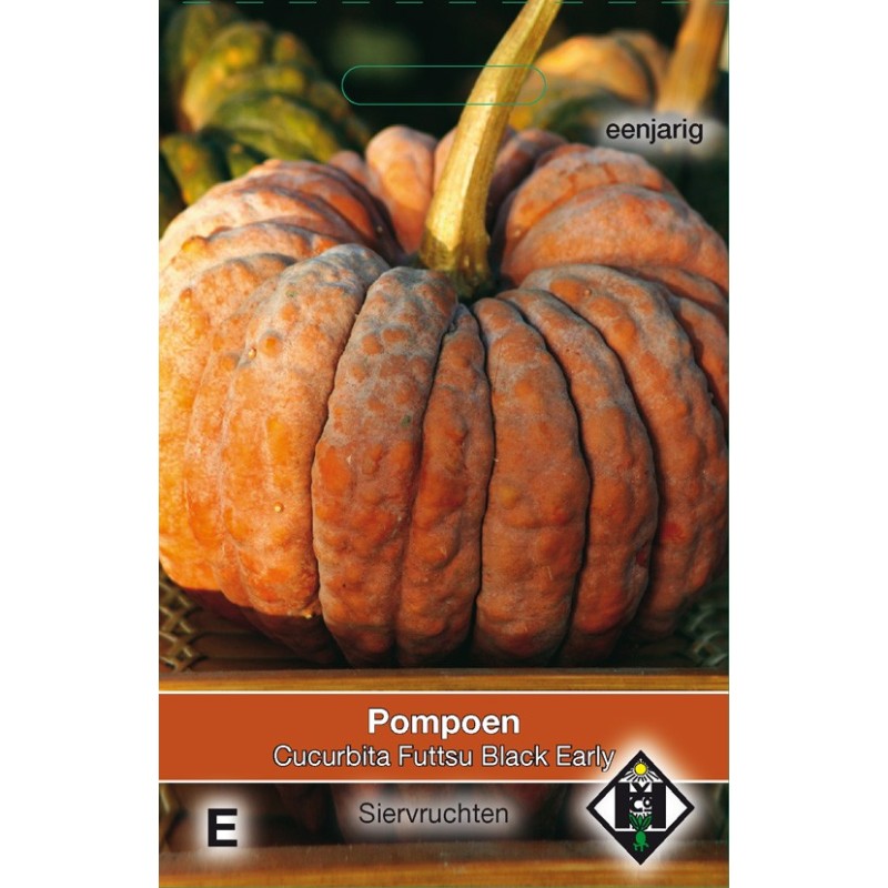 Cucurbita moschata Futtsu Black Early -zaden-