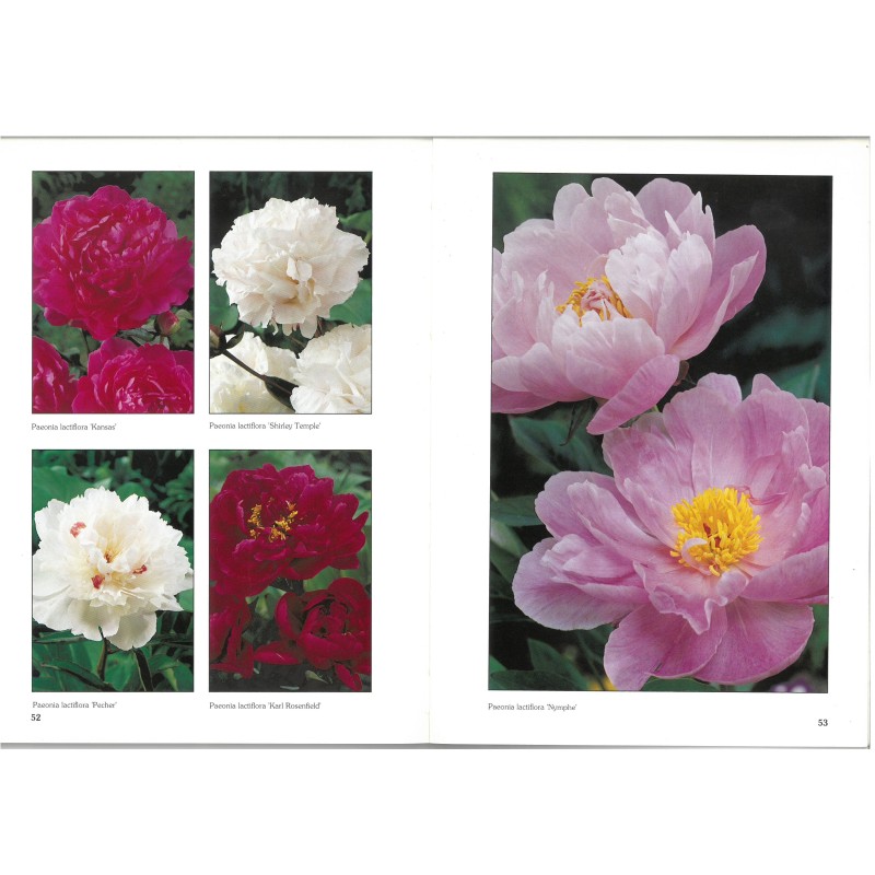 Catalogus 1992, voorjaar