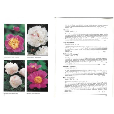 Catalogus 1993, voorjaar