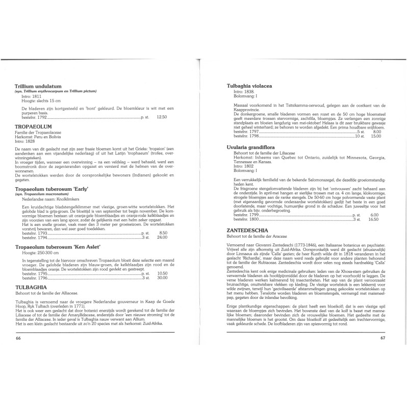 Catalogus 1993, voorjaar