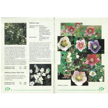 Catalogus 1995, voorjaar