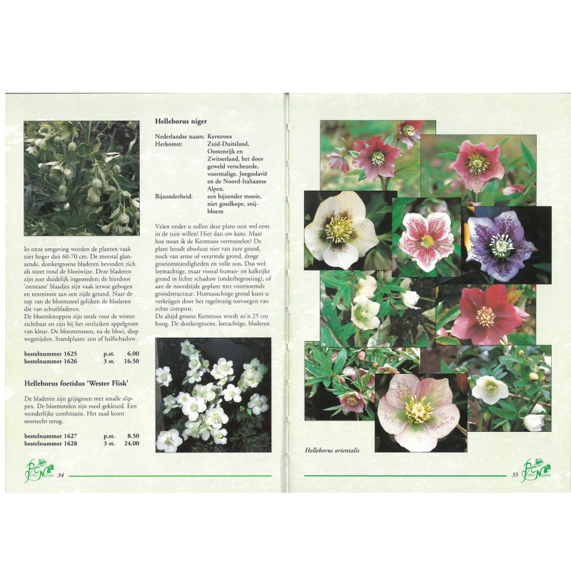 Catalogus 1995, voorjaar