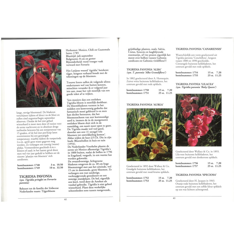 Catalogus 1994, voorjaar