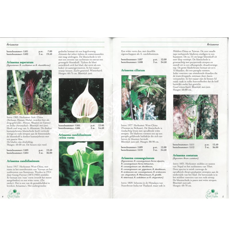 Arisaema brochure