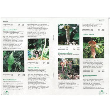 Arisaema brochure