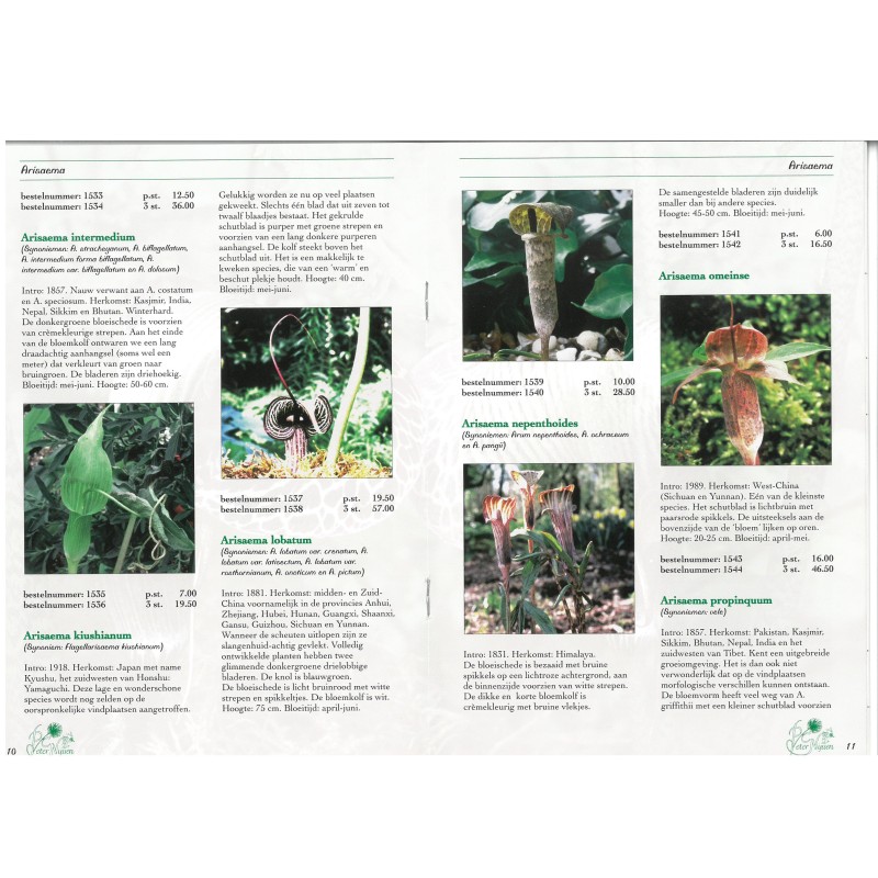 Arisaema brochure