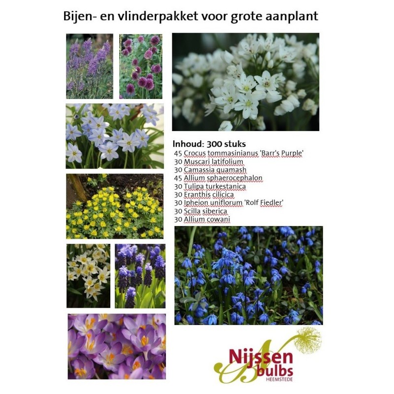 Bijenpakket voor de grote aanplant - 300 stuks.