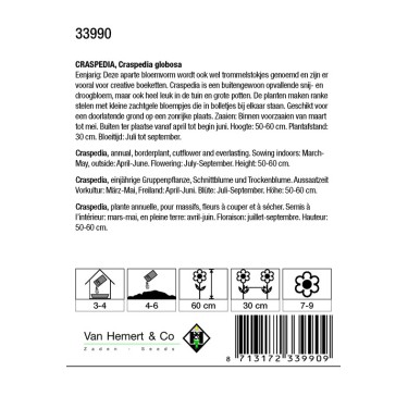 Craspedia globosa -zaden-