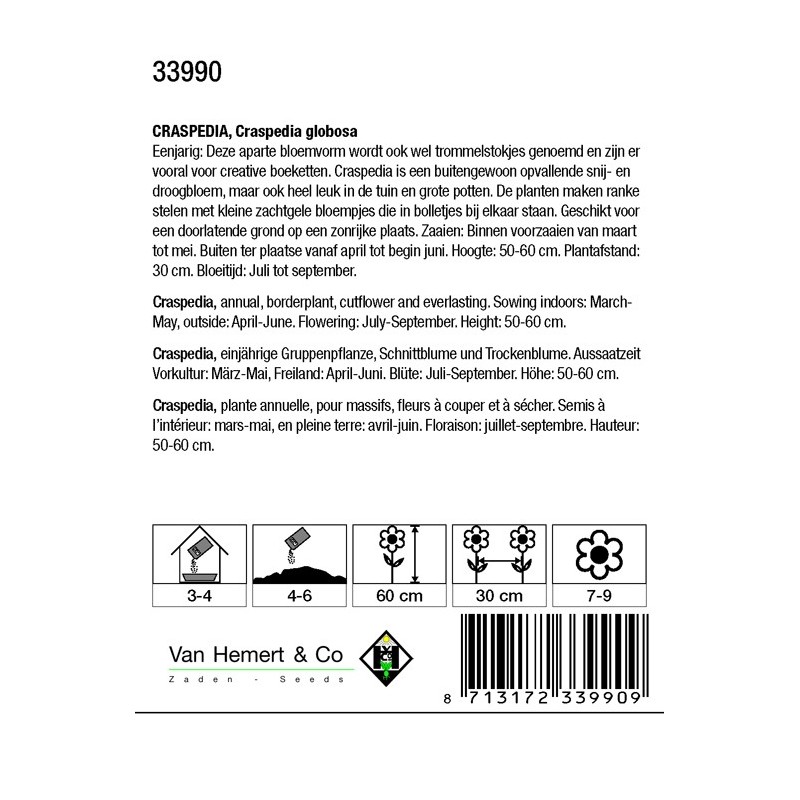 Craspedia globosa -zaden-