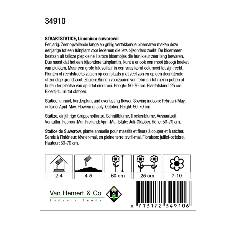 Limonium suworowii -zaden-