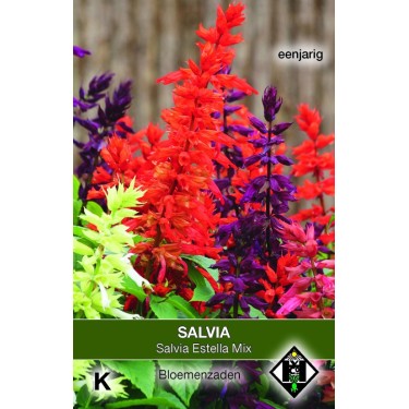 Salvia splendens 'Estella Mix' -zaden-