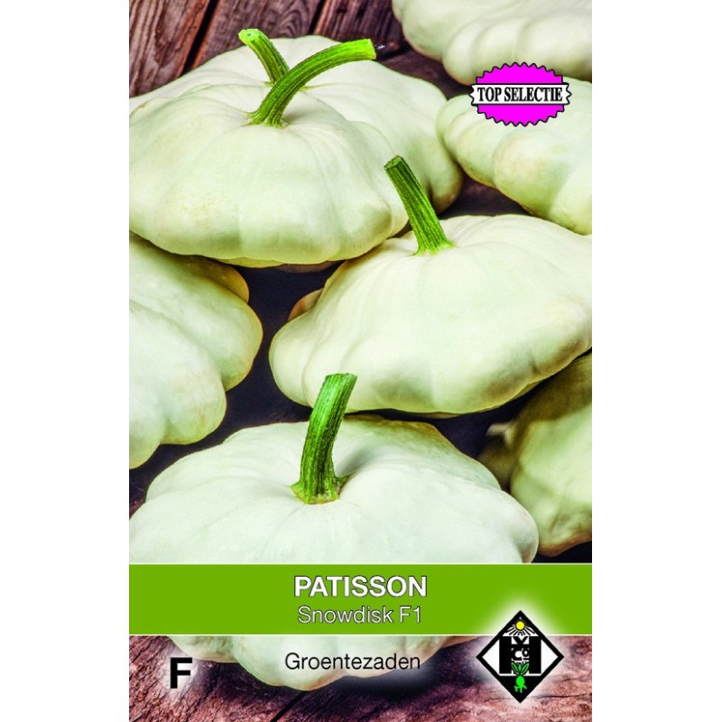Patisson, Curcubita pepo 'Snowdisk F1'  -zaden-