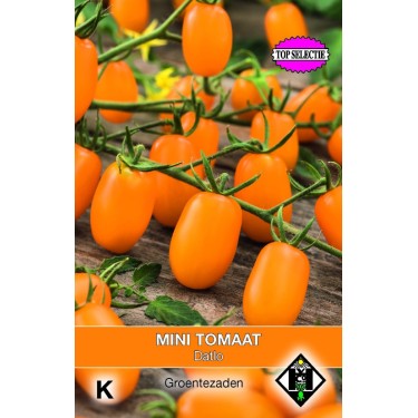 Mini-Tomaat, Lycopersicon esculentum 'Datlo' -zaden-