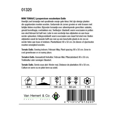 Mini-Tomaat, Lycopersicon esculentum 'Datlo' -zaden-