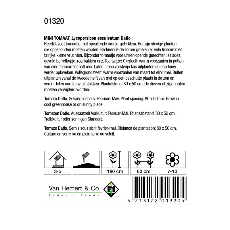 Mini-Tomaat, Lycopersicon esculentum 'Datlo' -zaden-