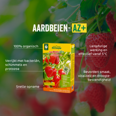 Aardbeien-AZ 800 gram