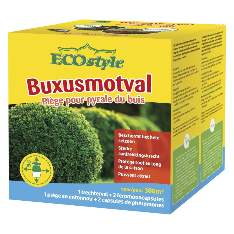 Buxusmot, trechterval