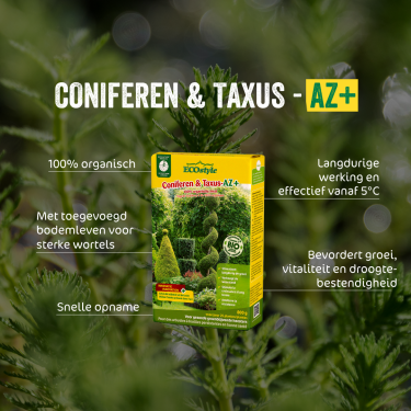 Coniferen & Taxus-AZ 1,6 kg