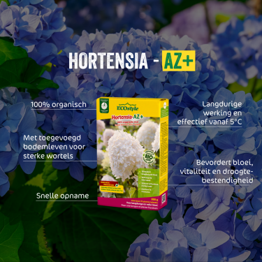Hortensia-AZ 1,6 kg.