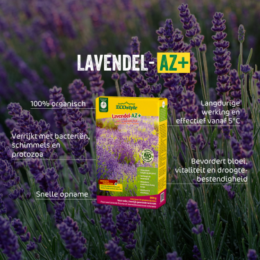 Lavendel-AZ 800 gram