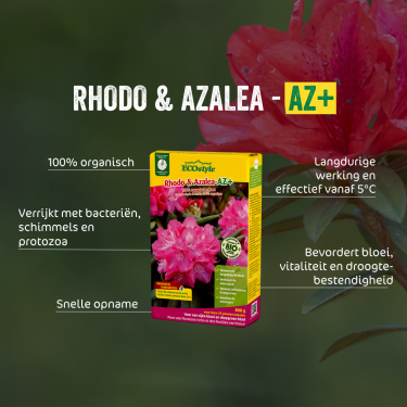 Rhodo & Azalea-AZ 800 gram